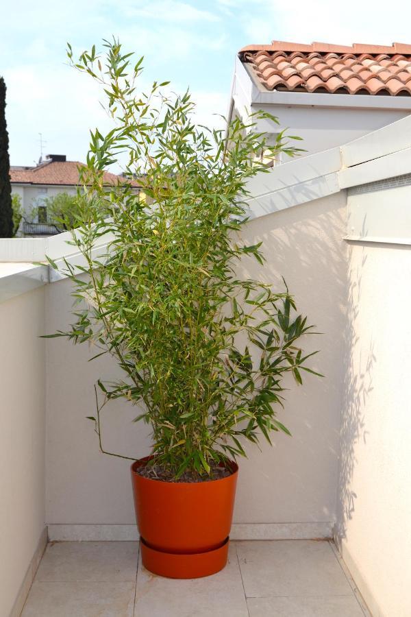Zen Ar Holiday-Home Peschiera del Garda Exterior foto